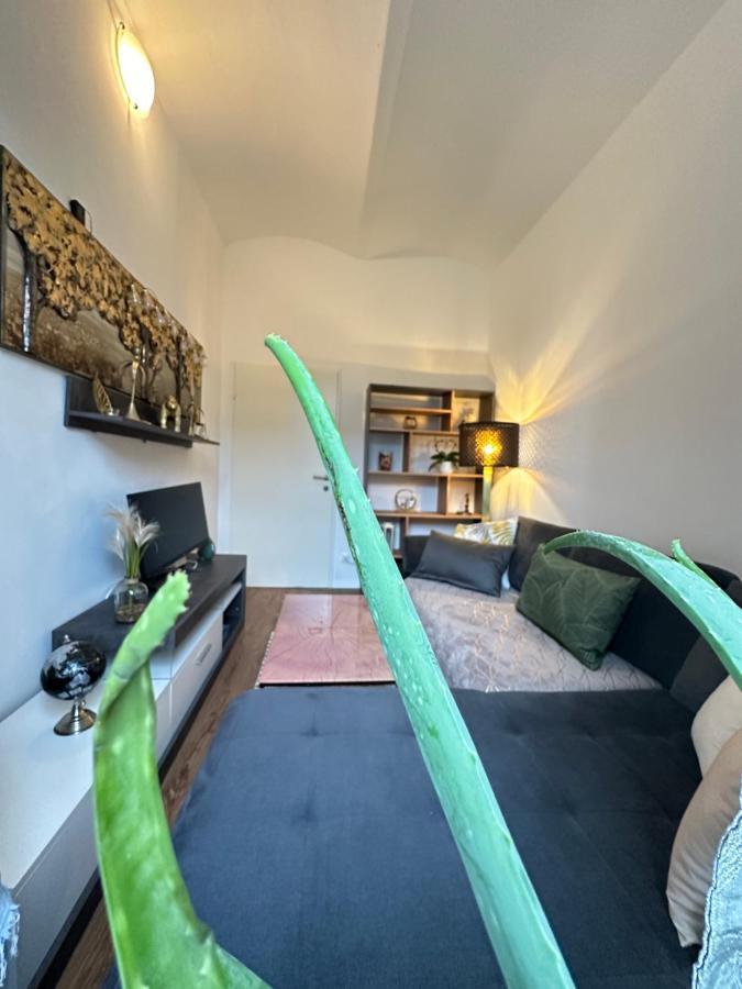 קלגנפורט Ferienwohnung Marion Klagenfurt Zentrumsnaehe מראה חיצוני תמונה