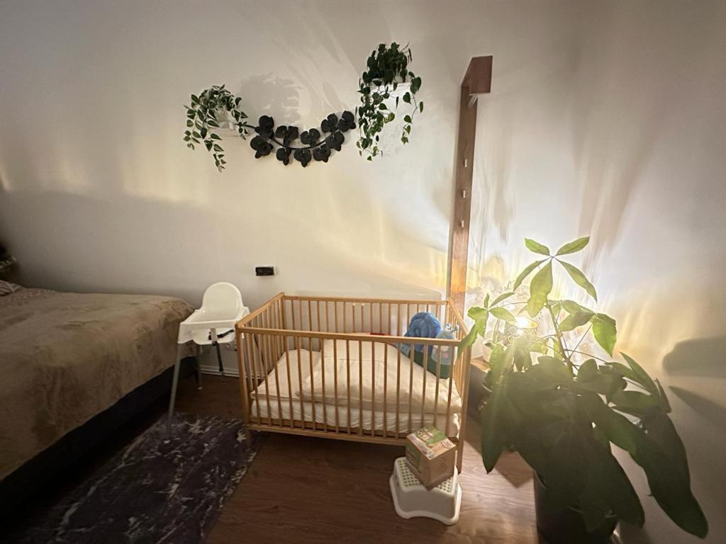 קלגנפורט Ferienwohnung Marion Klagenfurt Zentrumsnaehe מראה חיצוני תמונה